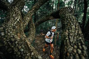 BIB: 
                            <button type="button" onclick="openModal(25392717)" class="btn btn-primary btn-sm float-right btn-popup" data-toggle="modal" data-target=".modal-high-quality">
                        <i class="fas fa-shopping-cart"></i> Add to Cart
                    </button>
                                            <button type="button" onclick="isThisMe(25392717, true)" class="btn btn-success btn-sm float-right btn-popup btn-isme hidden" data-toggle="tooltip" data-placement="bottom" title="นี่คือรูปของคุณใช่ไหม คลิกที่นี่เพื่อเอาเข้าอัลบั้ม">
                        <i class="fas fa-plus"></i> Add to album
                    </button>
                    <button type="button" onclick="isThisMe(25392717, false)" class="btn btn-warning btn-sm float-right btn-popup btn-isnotme hidden">
                        <i class="fas fa-ban"></i> Remove from album
                    </button>